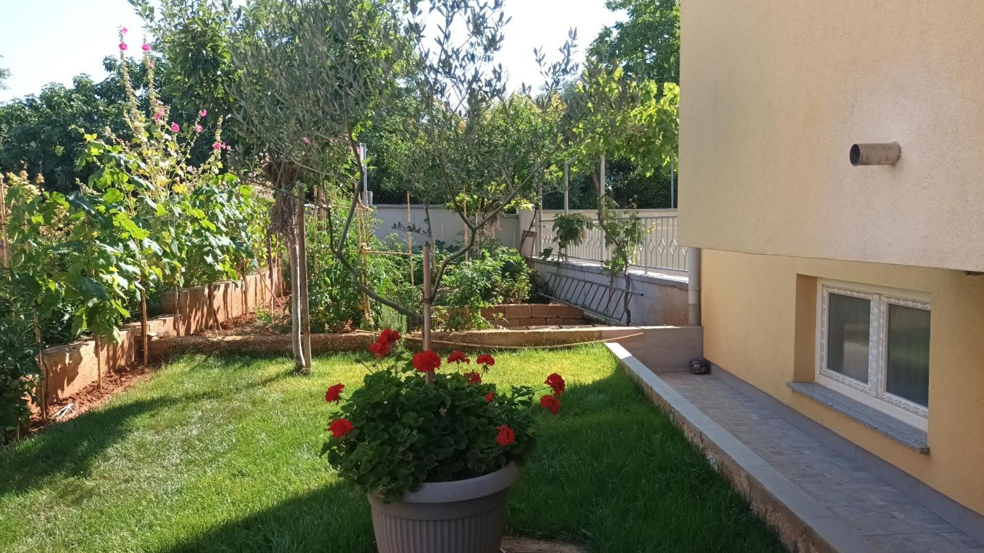 Apartments Monte Magno PUY 외부 사진