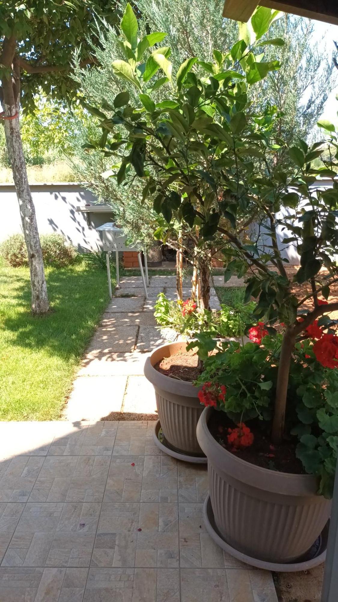 Apartments Monte Magno PUY 외부 사진